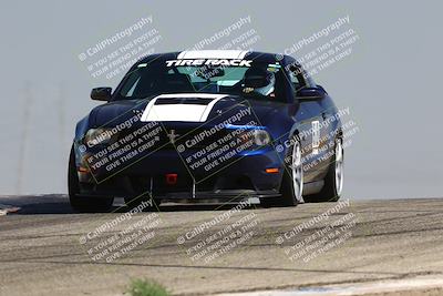 media/Jul-26-2025-Speed Ventures (Sat) [[fe569e6cf0]]/Green Group/Grapevine/